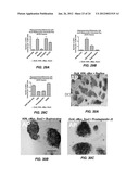 EFFICIENT INDUCTION OF PLURIPOTENT STEM CELLS USING SMALL MOLECULE     COMPOUNDS diagram and image