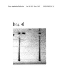 INK-JET INK FOR ORGANIC ELECTROLUMINESCENT DEVICES AND METHOD FOR     PRODUCING ORGANIC ELECTROLUMINESCENT DEVICES diagram and image