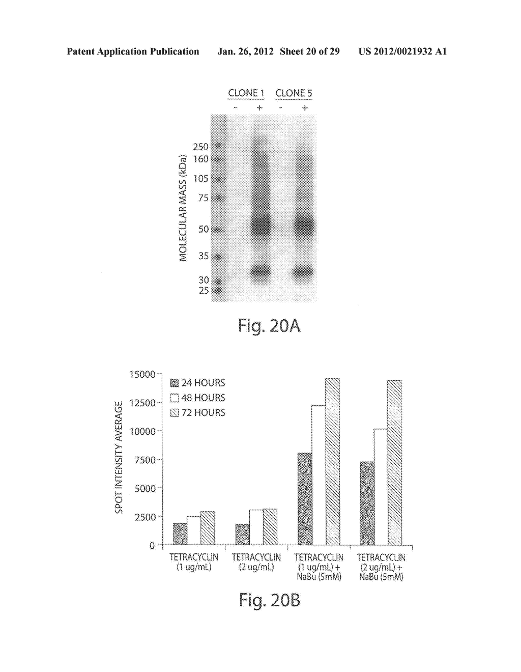 Multiplexed Olfactory Receptor-Based Microsurface Plasmon Polariton     Detector - diagram, schematic, and image 21