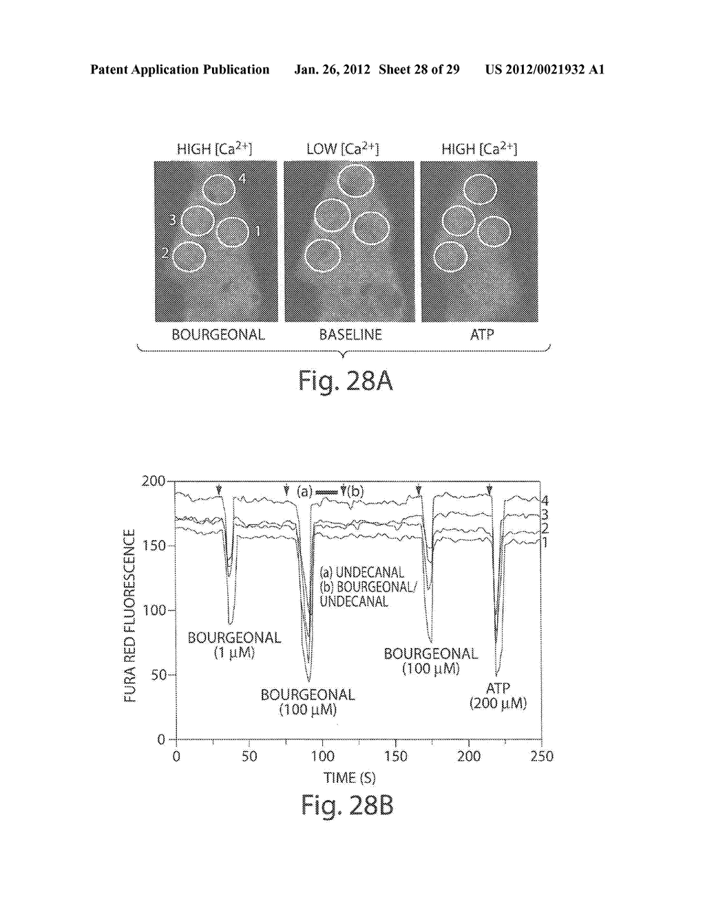 Multiplexed Olfactory Receptor-Based Microsurface Plasmon Polariton     Detector - diagram, schematic, and image 29
