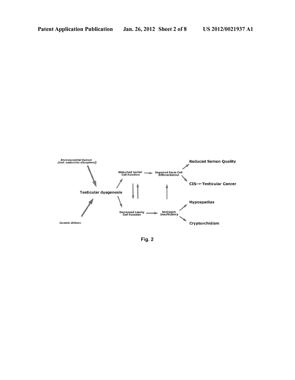 DETECTION OF CARCINOMA IN SITU IN SEMEN SPECIMENS - diagram, schematic, and image 03