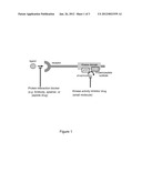 METHOD FOR PROFILING DRUG COMPOUNDS USING  PROTEIN KINASE INHIBITORS diagram and image