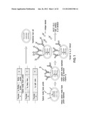 SURFACE DISPLAY OF WHOLE ANTIBODIES IN EUKARYOTES diagram and image