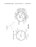 SURFACE DISPLAY OF WHOLE ANTIBODIES IN EUKARYOTES diagram and image