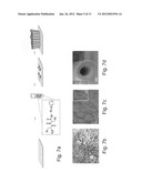 FORMATION OF ORGANIC NANOSTRUCTURE ARRAY diagram and image