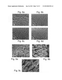 FORMATION OF ORGANIC NANOSTRUCTURE ARRAY diagram and image