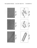 FORMATION OF ORGANIC NANOSTRUCTURE ARRAY diagram and image