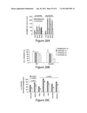 COMPOSITIONS AND METHODS FOR DIAGNOSIS AND PROGNOSIS OF CANCER AND     PROGRESSION, AND FOR SCREENING ANTI-CANCER AGENTS diagram and image