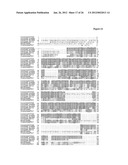 METHODS AND COMPOSITIONS FOR EXTENDING THE LIFE SPAN AND INCREASING THE     STRESS RESISTANCE OF CELLS AND ORGANISMS diagram and image