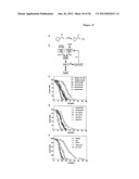 METHODS AND COMPOSITIONS FOR EXTENDING THE LIFE SPAN AND INCREASING THE     STRESS RESISTANCE OF CELLS AND ORGANISMS diagram and image