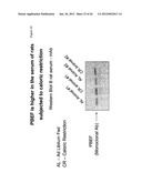 METHODS AND COMPOSITIONS FOR EXTENDING THE LIFE SPAN AND INCREASING THE     STRESS RESISTANCE OF CELLS AND ORGANISMS diagram and image