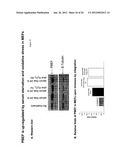 METHODS AND COMPOSITIONS FOR EXTENDING THE LIFE SPAN AND INCREASING THE     STRESS RESISTANCE OF CELLS AND ORGANISMS diagram and image