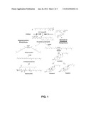 ANTI-BACTERIAL COMPOSITIONS AND METHODS INCLUDING TARGETING VIRULENCE     FACTORS OF STAPHYLOCOCCUS AUREUS diagram and image