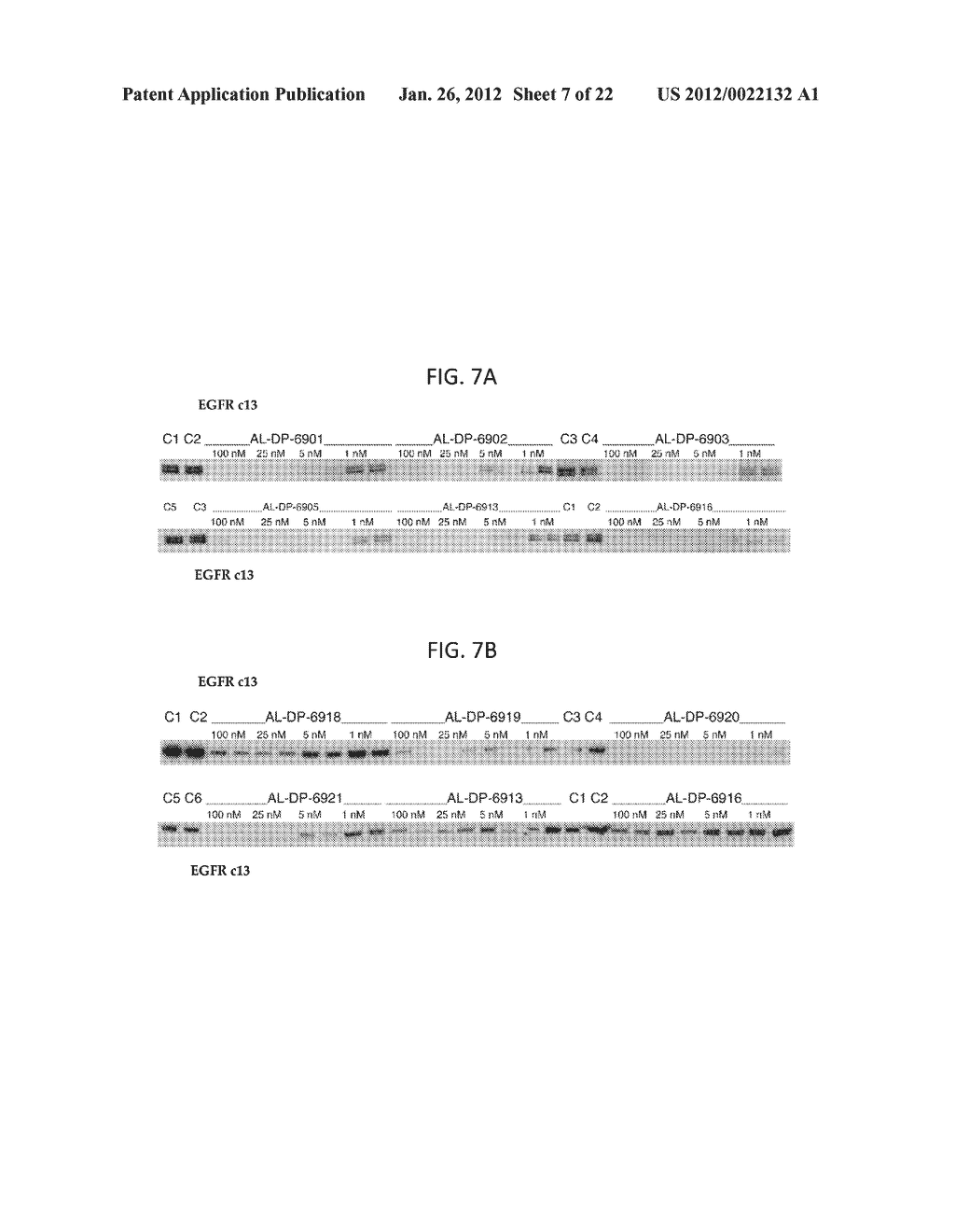 COMPOSITIONS AND METHODS FOR INHIBITING EXPRESSION OF MUTANT EGFR GENE - diagram, schematic, and image 08