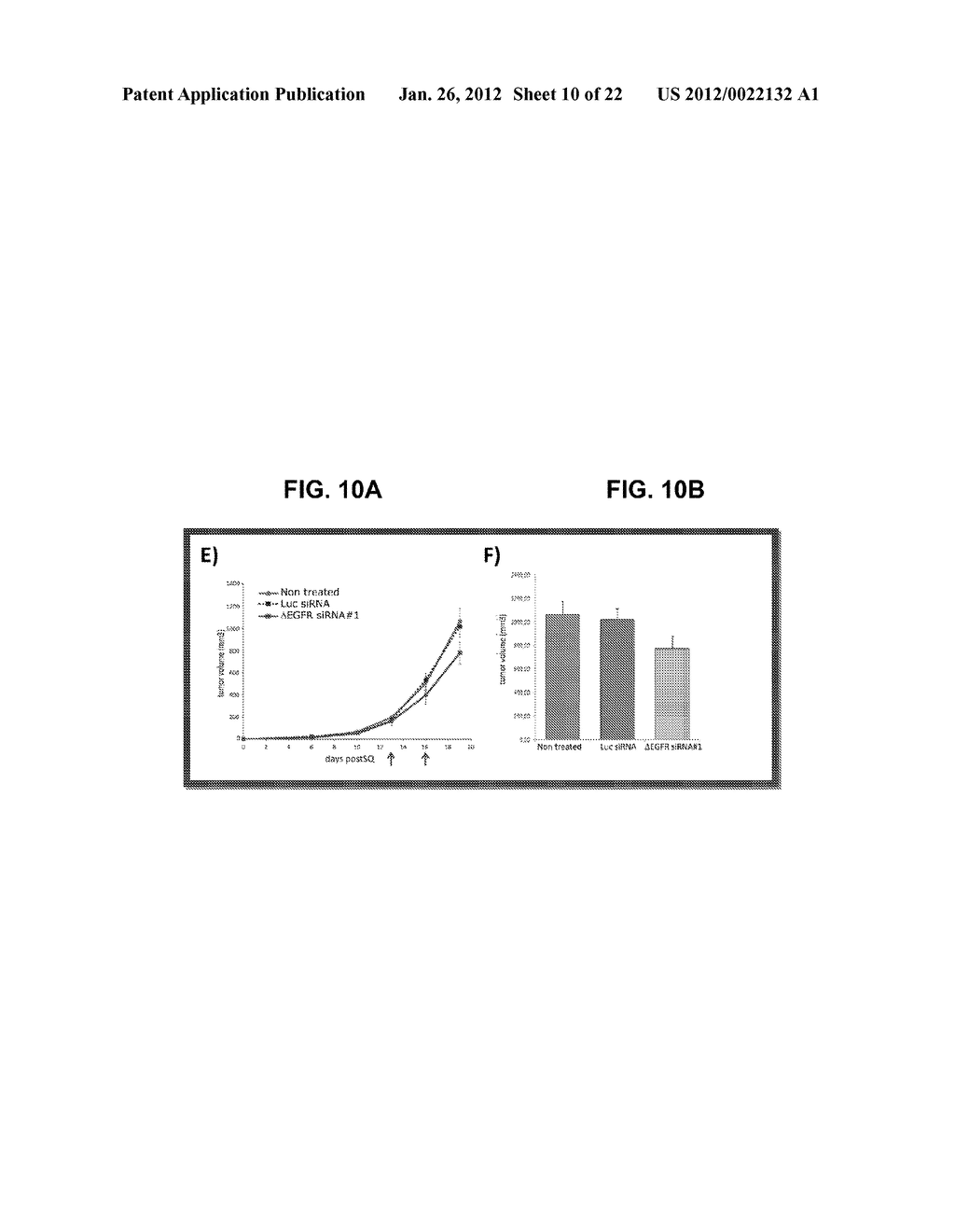 COMPOSITIONS AND METHODS FOR INHIBITING EXPRESSION OF MUTANT EGFR GENE - diagram, schematic, and image 11