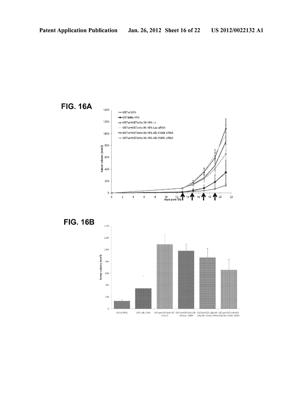 COMPOSITIONS AND METHODS FOR INHIBITING EXPRESSION OF MUTANT EGFR GENE - diagram, schematic, and image 17