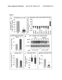 PHD2  INHIBITION FOR BLOOD VESSEL NORMALIZATION, AND USES THEREOF diagram and image