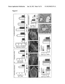 PHD2  INHIBITION FOR BLOOD VESSEL NORMALIZATION, AND USES THEREOF diagram and image