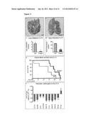 PHD2  INHIBITION FOR BLOOD VESSEL NORMALIZATION, AND USES THEREOF diagram and image