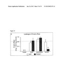 PHD2  INHIBITION FOR BLOOD VESSEL NORMALIZATION, AND USES THEREOF diagram and image