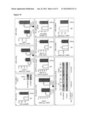 PHD2  INHIBITION FOR BLOOD VESSEL NORMALIZATION, AND USES THEREOF diagram and image