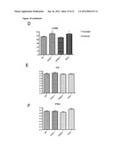 PHD2  INHIBITION FOR BLOOD VESSEL NORMALIZATION, AND USES THEREOF diagram and image