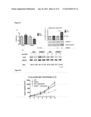 PHD2  INHIBITION FOR BLOOD VESSEL NORMALIZATION, AND USES THEREOF diagram and image