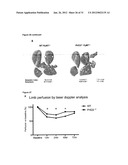 PHD2  INHIBITION FOR BLOOD VESSEL NORMALIZATION, AND USES THEREOF diagram and image