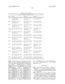 PHD2  INHIBITION FOR BLOOD VESSEL NORMALIZATION, AND USES THEREOF diagram and image