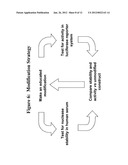 RNA Interference Mediated Inhibition of the Thymic Stromal Lymphopoietin     (TSLP) Gene Expression Using Short Interfering Nucliec Acid (siNA) diagram and image