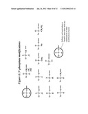 RNA Interference Mediated Inhibition of the Thymic Stromal Lymphopoietin     (TSLP) Gene Expression Using Short Interfering Nucliec Acid (siNA) diagram and image