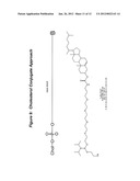 RNA Interference Mediated Inhibition of the Thymic Stromal Lymphopoietin     (TSLP) Gene Expression Using Short Interfering Nucliec Acid (siNA) diagram and image