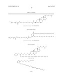 RNA Interference Mediated Inhibition of the Thymic Stromal Lymphopoietin     (TSLP) Gene Expression Using Short Interfering Nucliec Acid (siNA) diagram and image