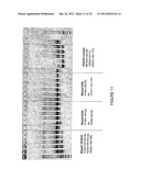 Antisense Oligonucleotides for Inducing Exon Skipping and Methods of Use     Thereof diagram and image