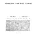 Antisense Oligonucleotides for Inducing Exon Skipping and Methods of Use     Thereof diagram and image