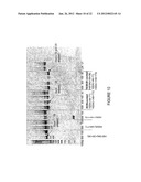 Antisense Oligonucleotides for Inducing Exon Skipping and Methods of Use     Thereof diagram and image