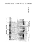 Antisense Oligonucleotides for Inducing Exon Skipping and Methods of Use     Thereof diagram and image