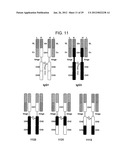 EFFECTOR FUNCTION ENHANCED RECOMBINANT ANTIBODY COMPOSITION diagram and image