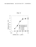 EFFECTOR FUNCTION ENHANCED RECOMBINANT ANTIBODY COMPOSITION diagram and image