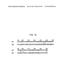 EFFECTOR FUNCTION ENHANCED RECOMBINANT ANTIBODY COMPOSITION diagram and image