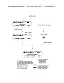 EFFECTOR FUNCTION ENHANCED RECOMBINANT ANTIBODY COMPOSITION diagram and image