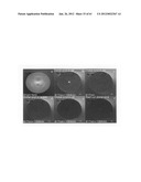 Chemically-selective, label free, microendoscopic system based on coherent     anti-stokes raman scattering and microelectromechanical fiber optic probe diagram and image