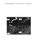 Chemically-selective, label free, microendoscopic system based on coherent     anti-stokes raman scattering and microelectromechanical fiber optic probe diagram and image