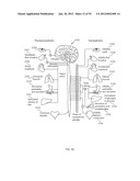 ENERGETIC MODULATION OF NERVES diagram and image