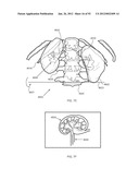 ENERGETIC MODULATION OF NERVES diagram and image