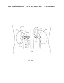 ENERGETIC MODULATION OF NERVES diagram and image