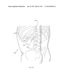 ENERGETIC MODULATION OF NERVES diagram and image