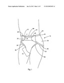 High-Capacity Disposable Absorbent Inserts For Reusable Outer Covers diagram and image