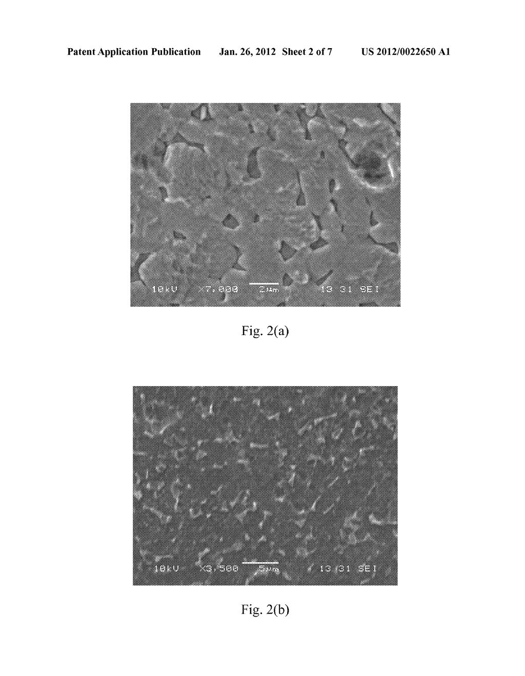 METHOD FOR PREPARING BIOMEDICAL SURFACES - diagram, schematic, and image 03