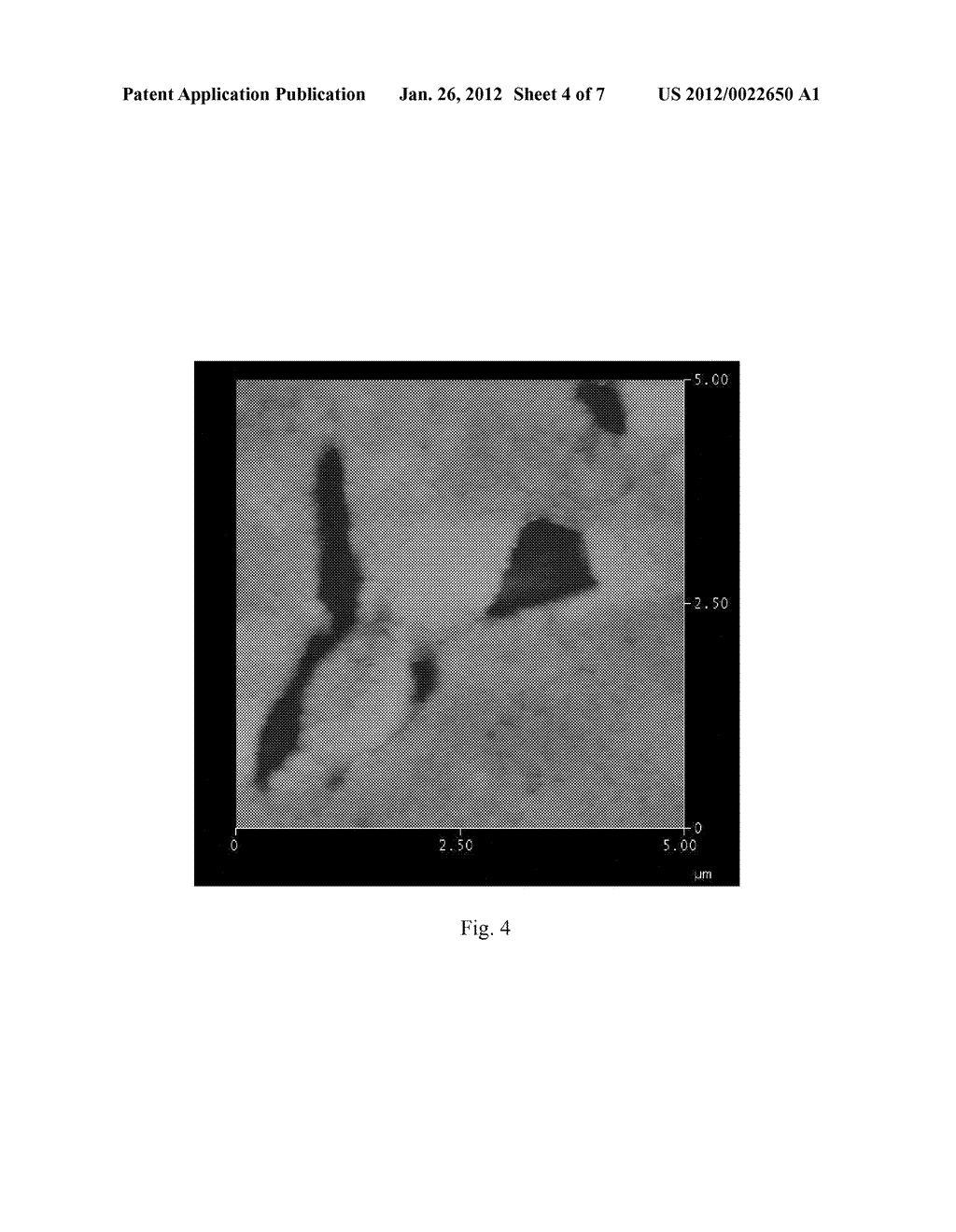 METHOD FOR PREPARING BIOMEDICAL SURFACES - diagram, schematic, and image 05